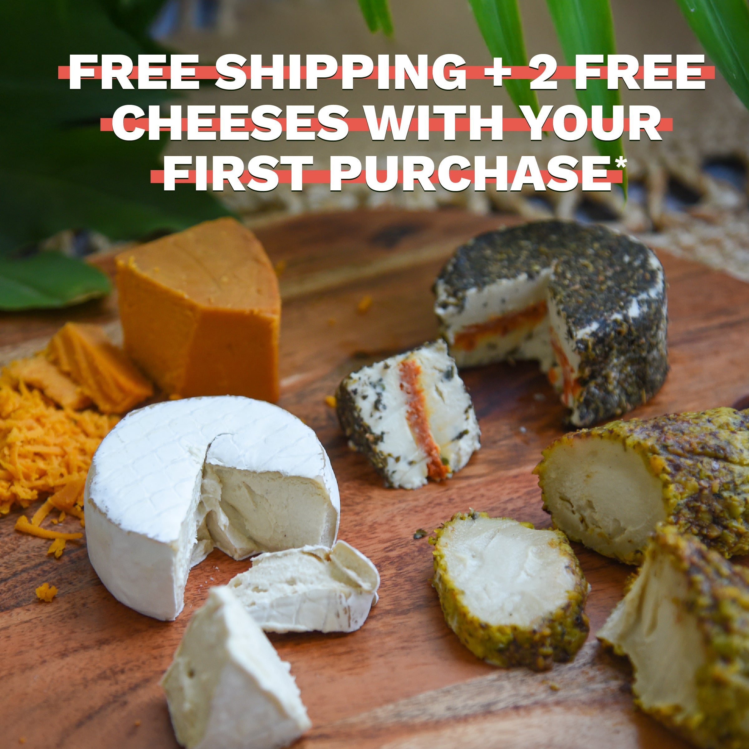 Rebel's Greatest Hits Assortment - Rebel Cheese