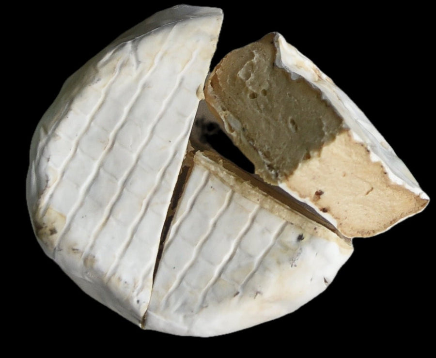 Porcini Brie - 5.6 oz - Rebel Cheese