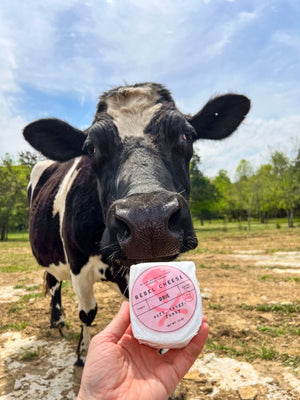 Supporting The Gentle Barn: A Cause Close to Our Hearts - Rebel Cheese