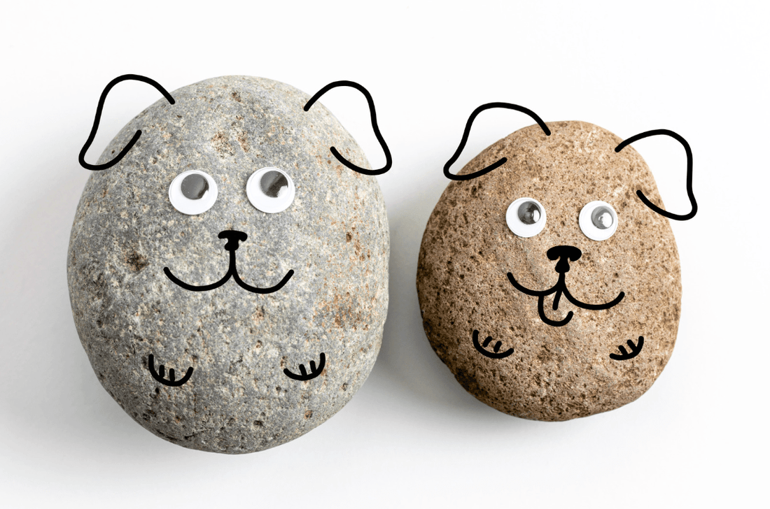 Sip & Paint a Pet Rock Night: A Tiny Celebration of Big Community - Rebel Cheese