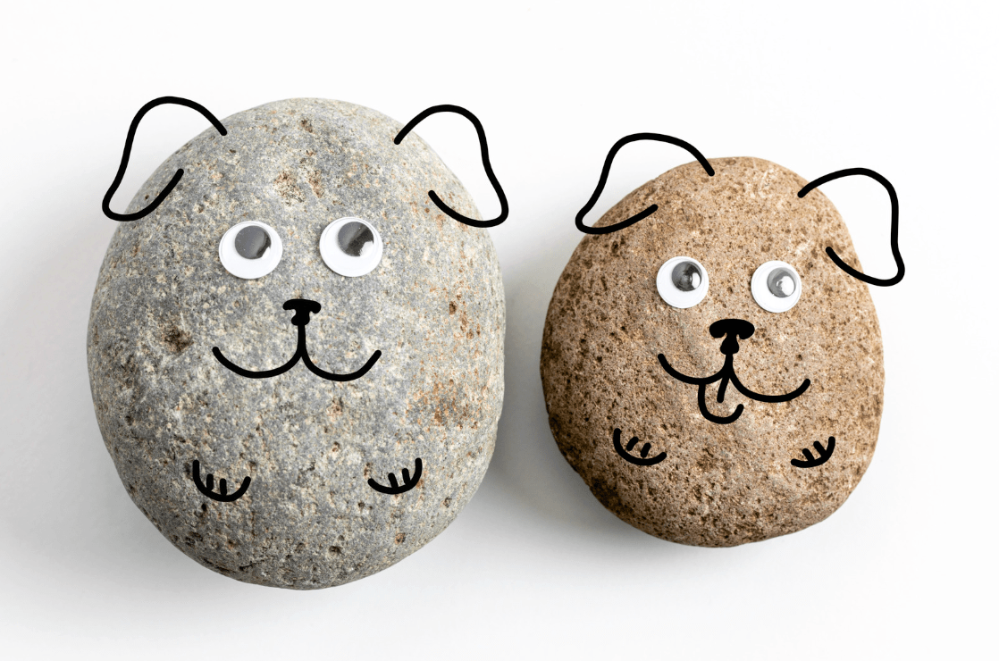 Sip & Paint a Pet Rock Night: A Tiny Celebration of Big Community - Rebel Cheese