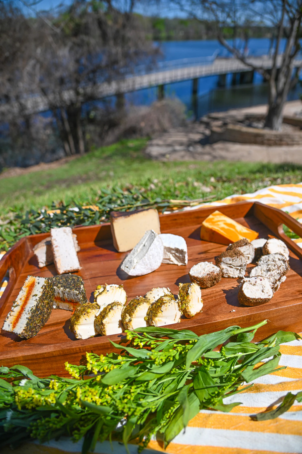 Assorted cheeses on a wooden board with a scenic background of trees and water.