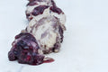 Slices of creamy off-white goat-style cheese with dark purple blueberry compote drizzle, presented on a light marble surface.