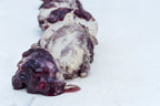 Slices of creamy off-white goat-style cheese with dark purple blueberry compote drizzle, presented on a light marble surface.
