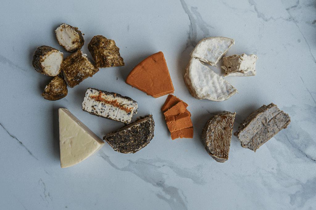 Lori Greiner Artisanal Plant - Based Cheese Collection 🧀✨ - Rebel Cheese